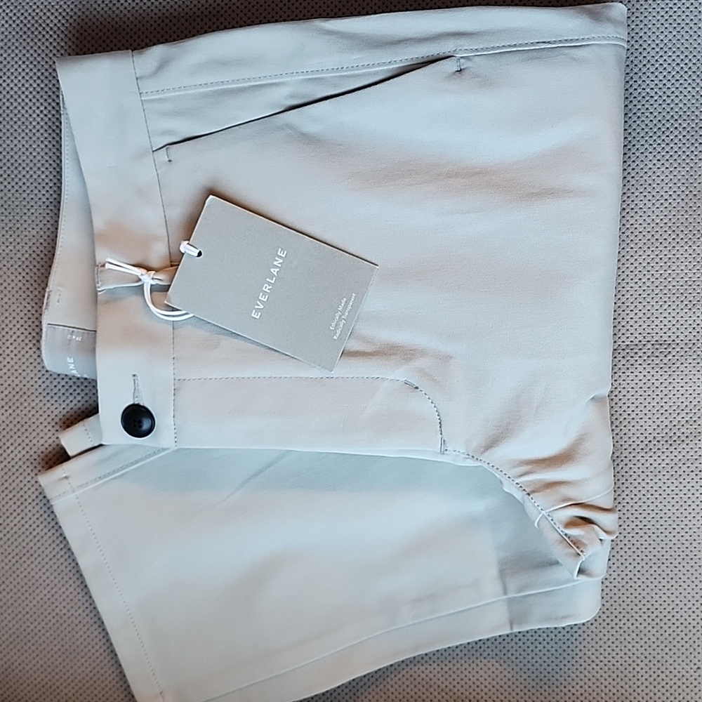 Everlane Slim Fit Cotton Pant Nwt